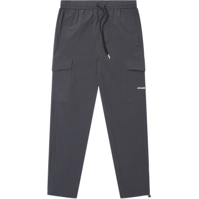 Vizcaya Pants Regular fit | Vizcaya Pants | Grå